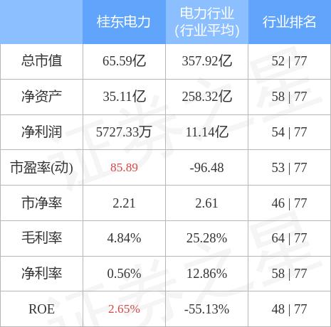 桂东电力引领绿色能源，共创可持续发展新篇章