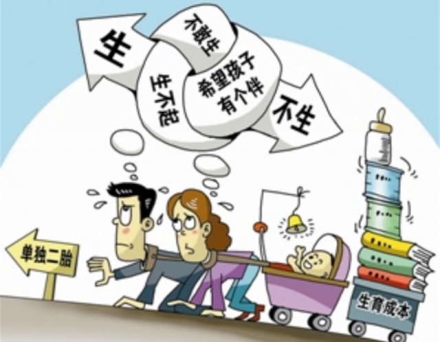 计生委最新二胎政策，心灵与自然的双重旅行之旅