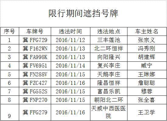 上牌最新规定，变革铸就自信，成就辉煌未来之路