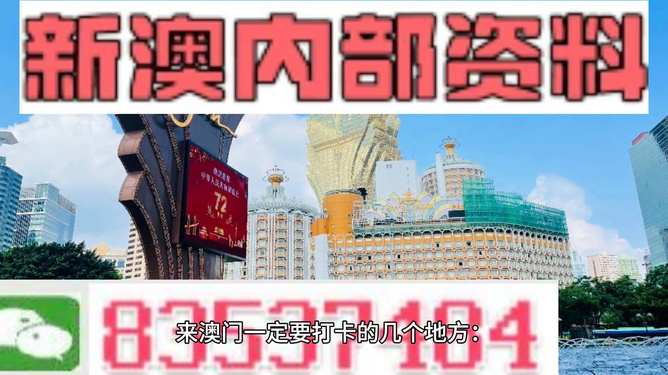 2024新澳精准免费资料,确保解释问题_旗舰款77.832
