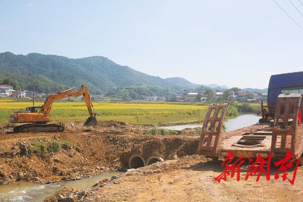 宁乡黄龙公路最新进展揭秘，探寻小巷独特风味之路的进展更新