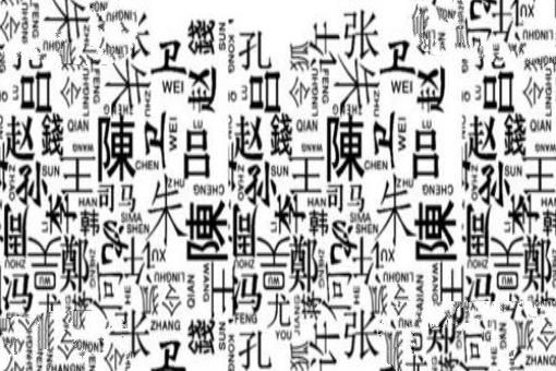 2015百家姓最新排名,2015百家姓最新排名，探寻中国姓氏文化的魅力