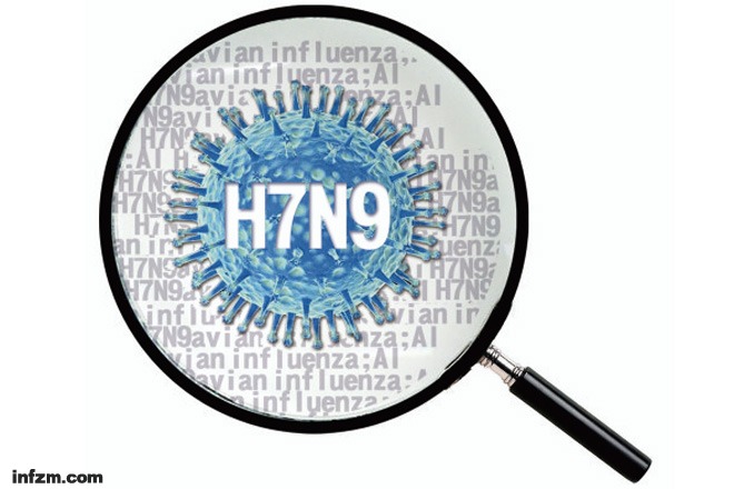 h7n9病毒最新消息,H7N9病毒最新消息，全球防控进展与应对策略