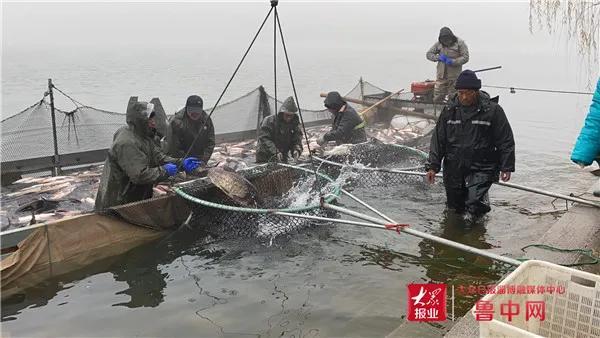 最新捕鱼季开启，海洋探险之旅等你来启航！