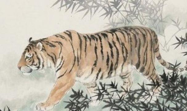四虎最新网站崛起与影响深度解析