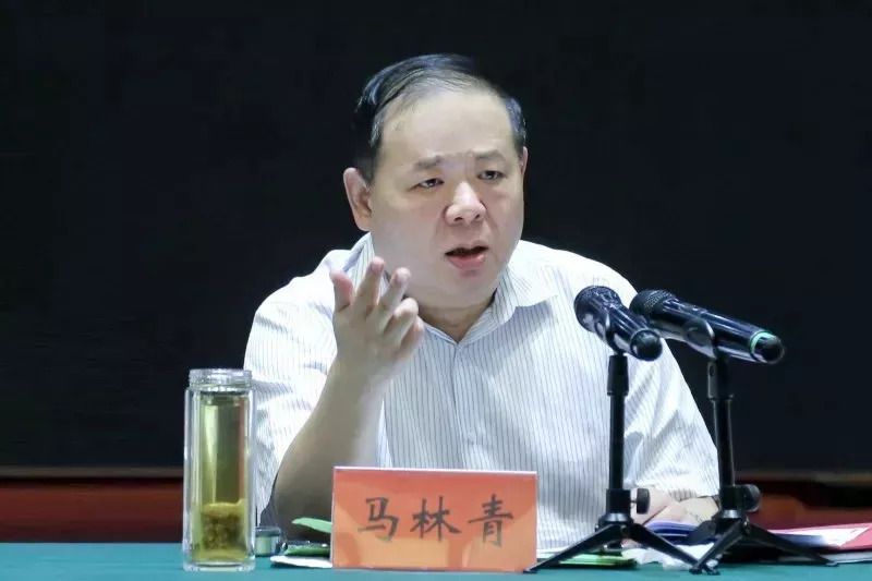 马林青最新动态揭秘，成长历程与最新消息一探究竟