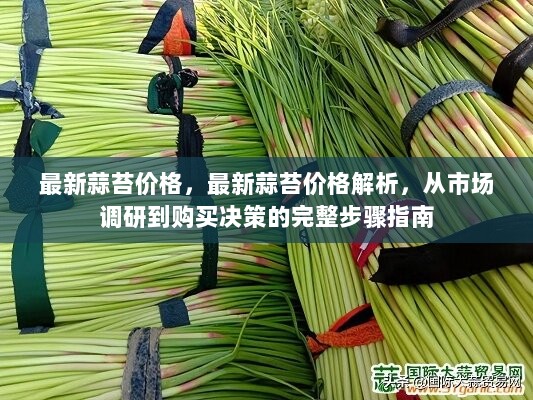 公司介绍 第79页