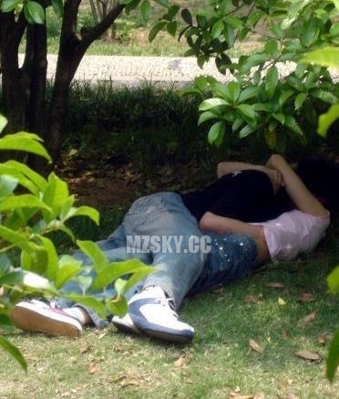 最新打野战视频完整版，观点论述与实战解析