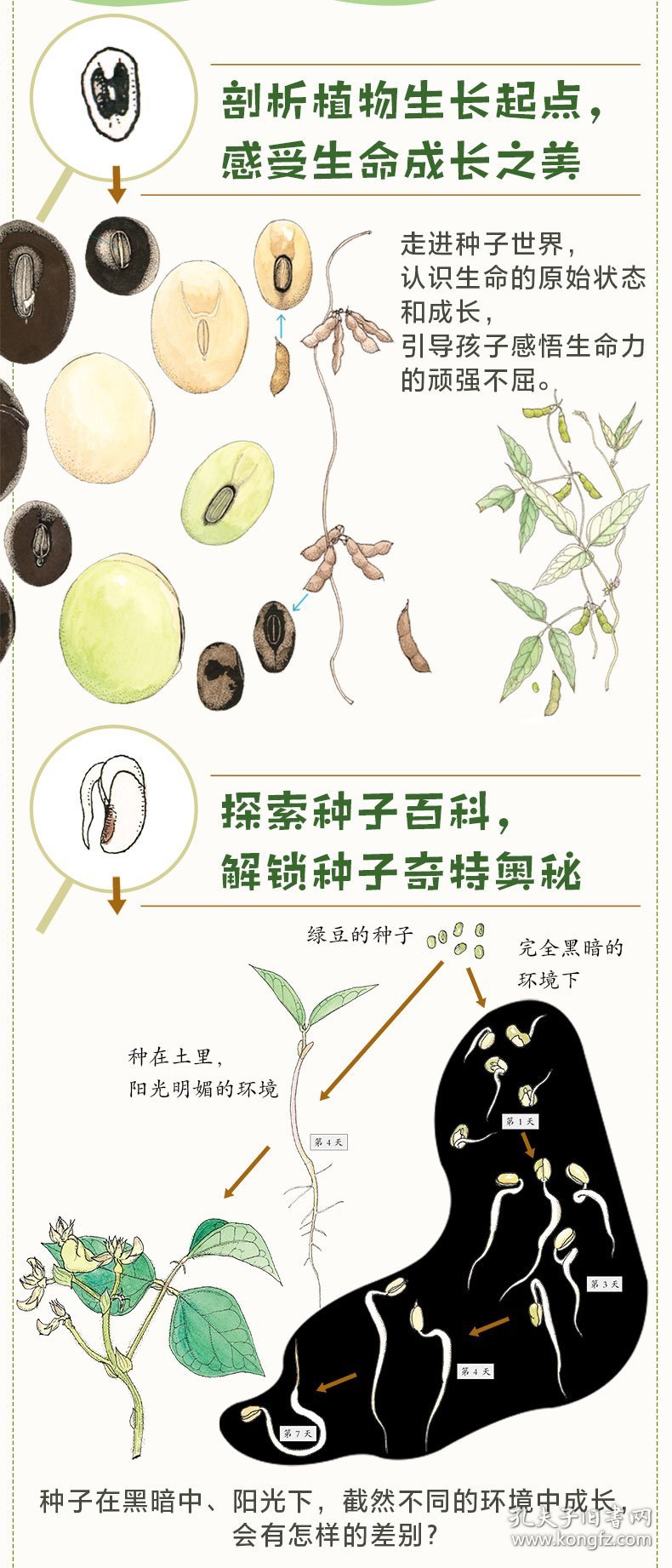 最新父亲和女儿种子，情感纽带与共同成长之旅
