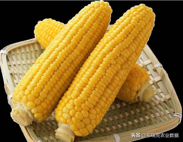 行业资讯 第13页