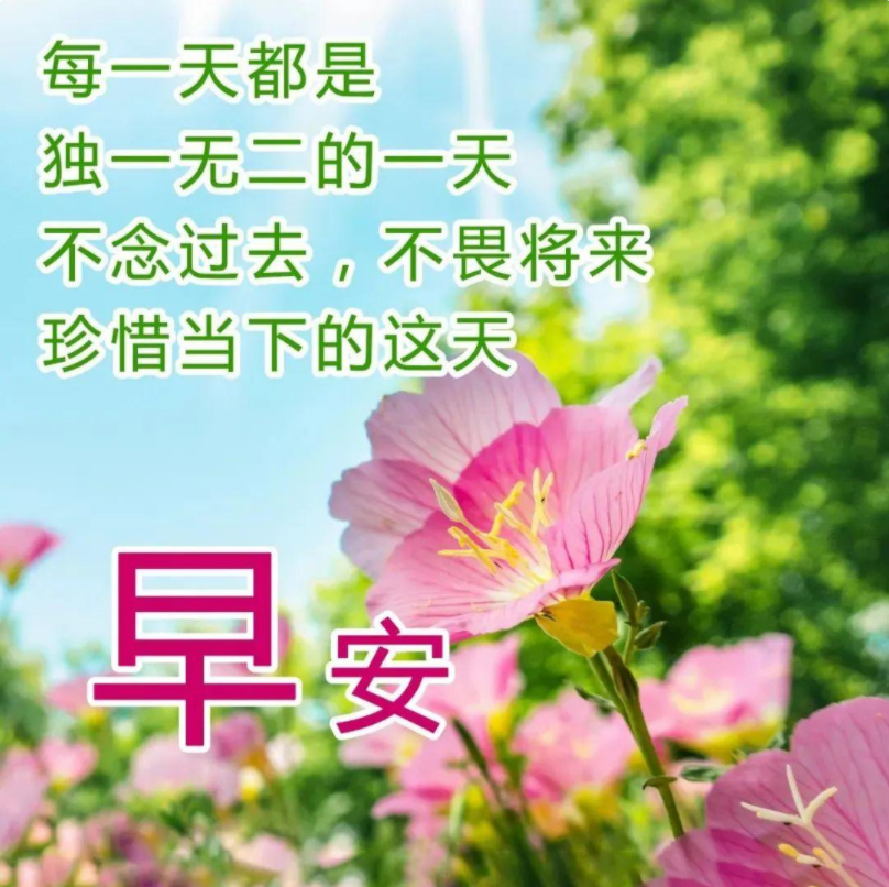 最新早晨好图片大全，晨光中的温情日常美景