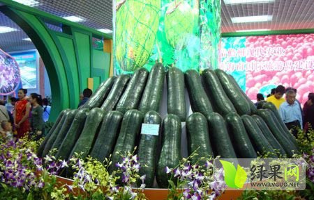公司介绍 第6页