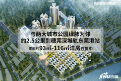 东莞最新楼盘开盘纪实，时代印记与城市的脉动
