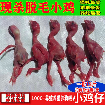 科技重塑生活，冰冻脱毛小鸡最新价格与脱毛新纪元的来临