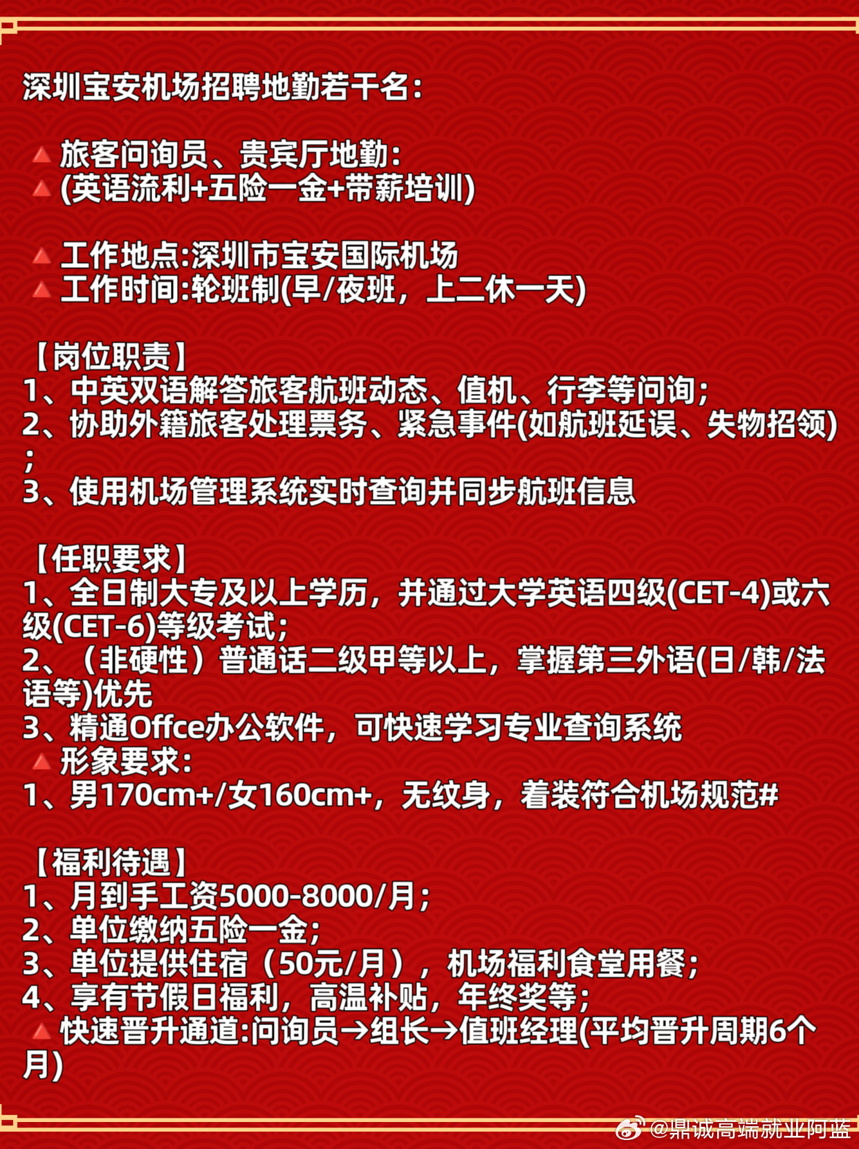 深圳A1司机最新招聘，小巷中的独特探索之旅启程