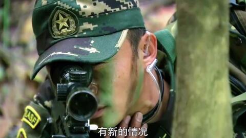特种兵之利刃最新章节观点论述解析