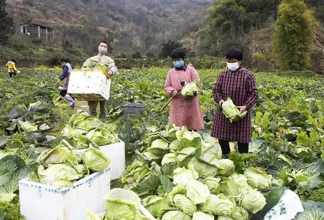 青龙物流园最新动态，温馨日常的细致呈现