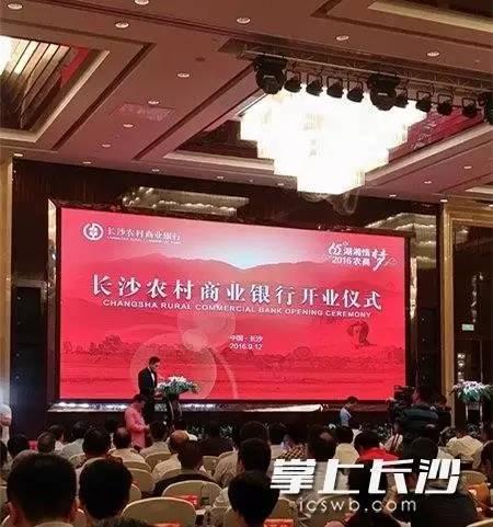 新农合合并最新动态，全面整合步骤指南