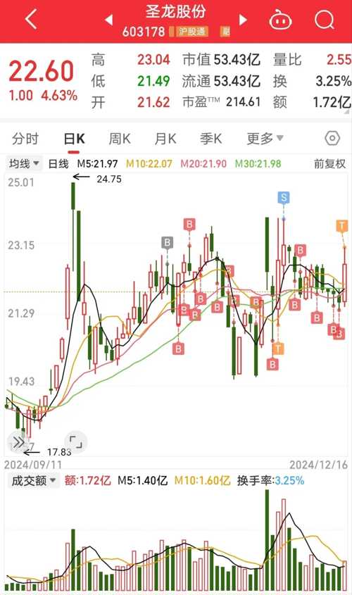 龙生股份最新股票动态解析，入门指南与关键步骤全面解读