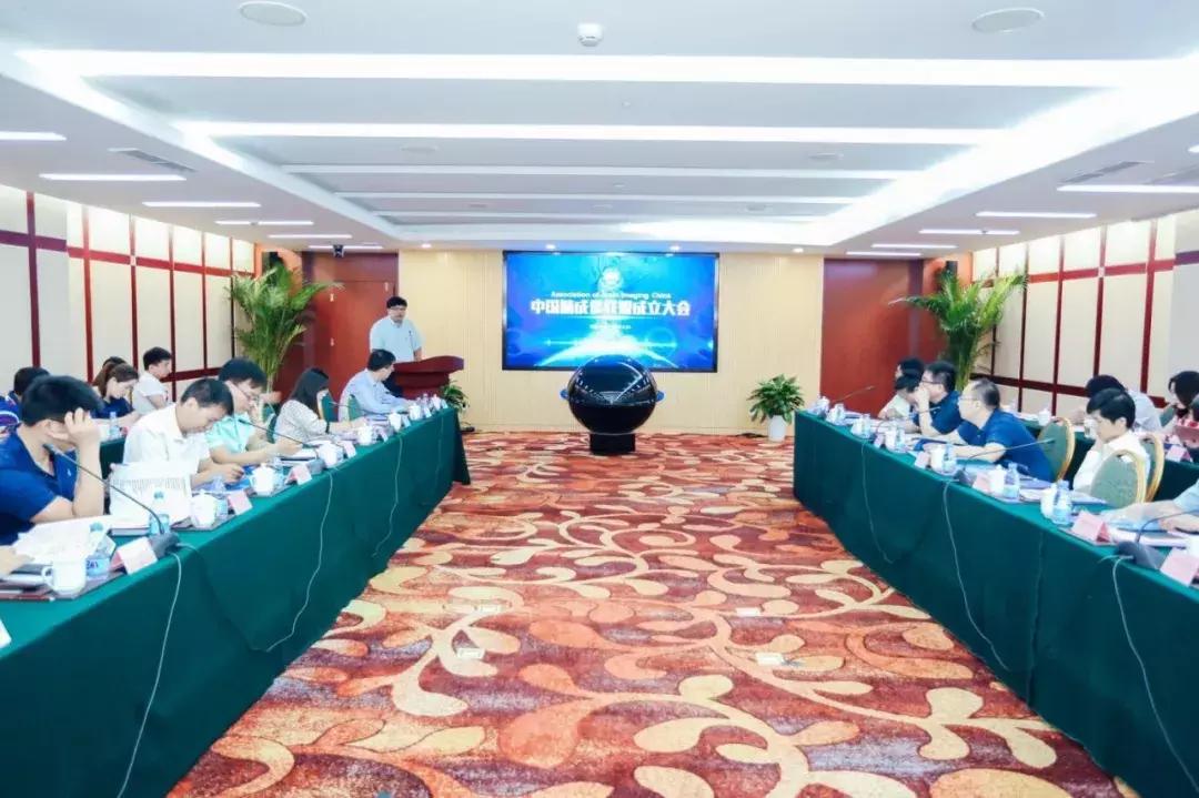 脑计划最新进展概览，研究突破与观点阐述