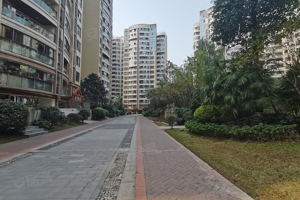 宜宾龙源府邸最新动态，变化中的学习助力铸就未来自信与成就