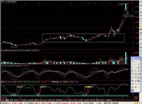 罗牛山股票最新动态解析，全面消息汇总与观点探讨