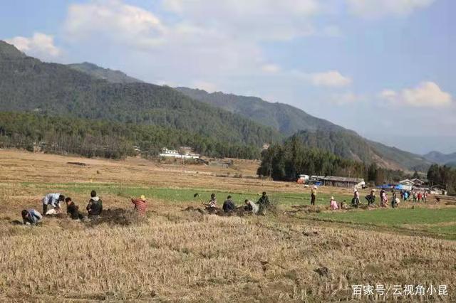 最新型水田扬肥器图片，变化、学习与自信的力量展示